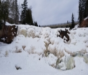 2019 01 20 Duluth5 005
